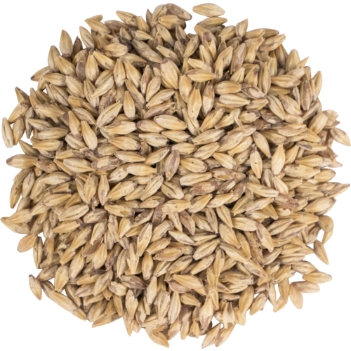 Carapils Malt